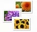 Floral Card 5